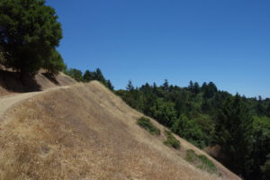 picture 24