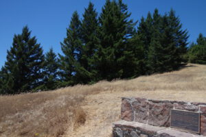 picture 28