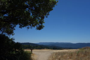 picture 29