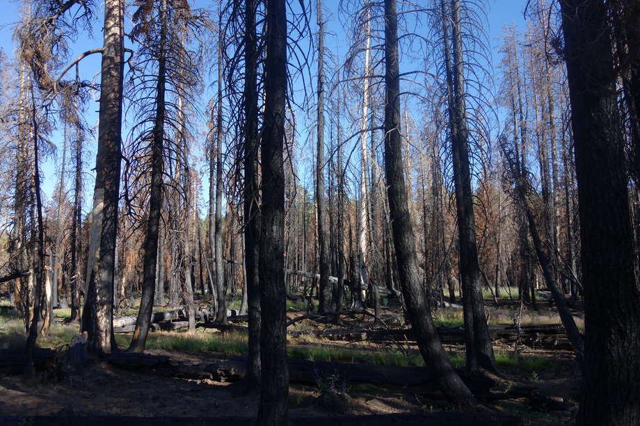 picture 37