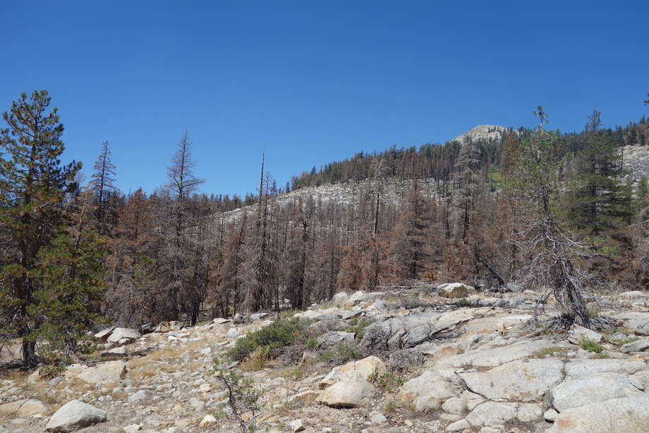 picture 41