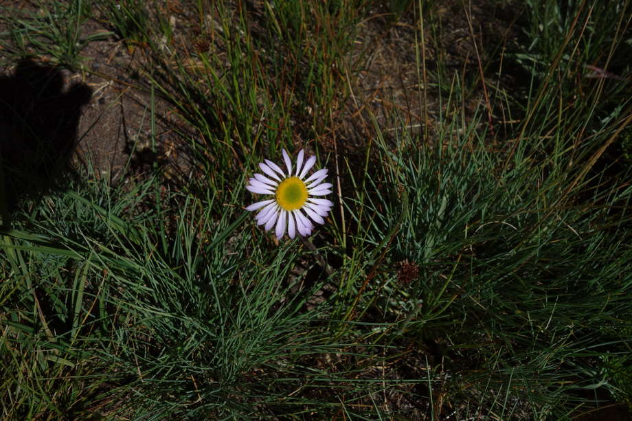picture 46