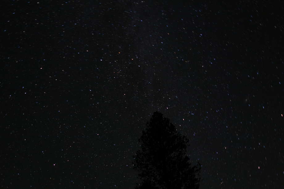 picture 55
